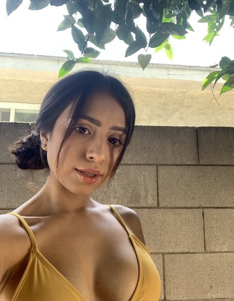 Unique Palacios top perfekte fotos