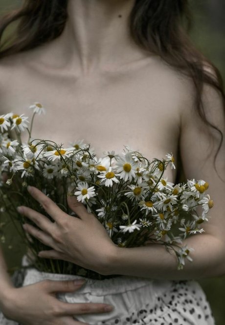 willa wilkins_ heiße top archiv