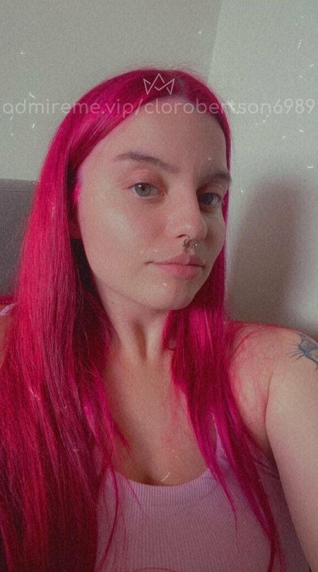 Scottish Chloe freie bild