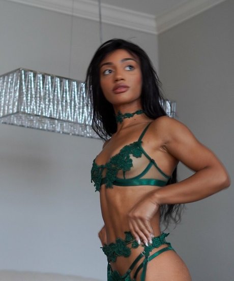 taylorchamp kostenlose nette galerie