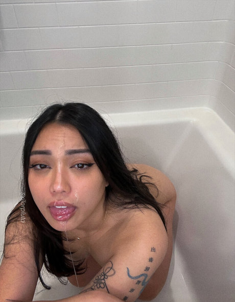 tera s model galerie