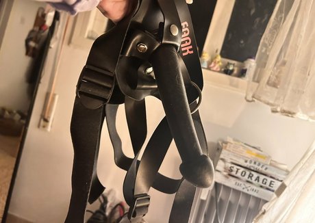 Queen Red hd nette fotos