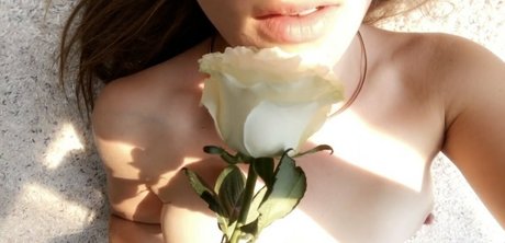 missharperlane kostenlose pornographische galerie