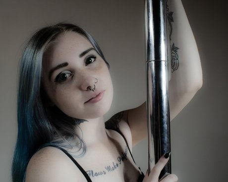 Silverbat exklusive archiv