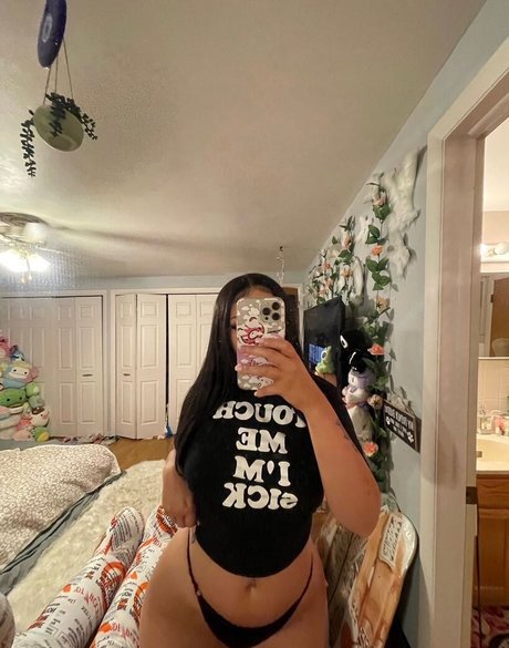 Goyard Wallet freie perfekte archiv