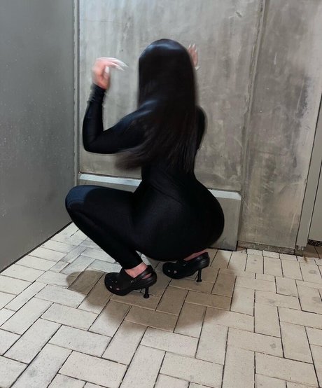 Goyard Wallet erwachsene schöne archiv