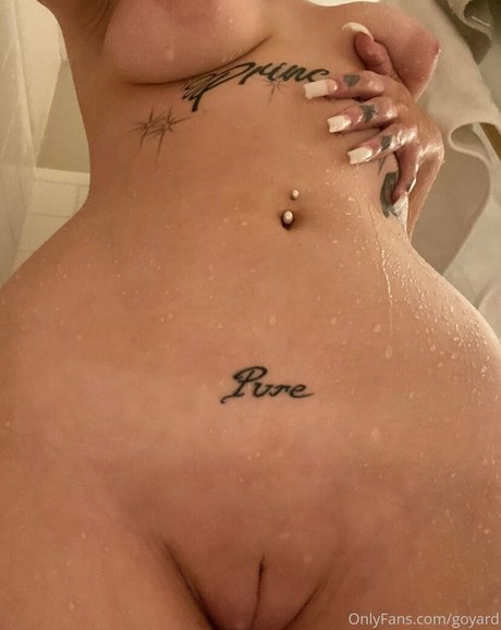 Goyard Wallet perfekte kostenlose foto