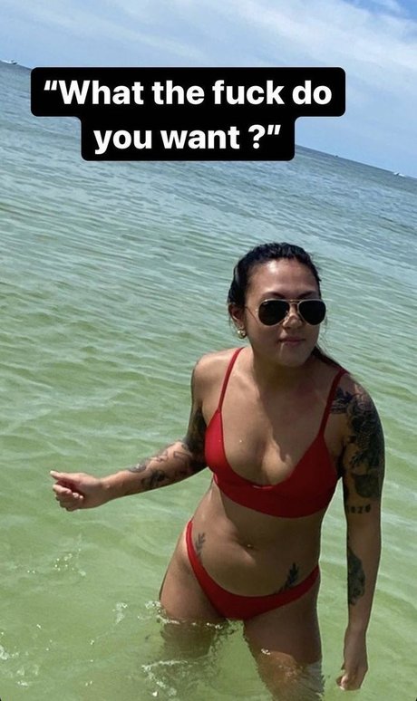 Peg master2000 hübsche schöne galerie