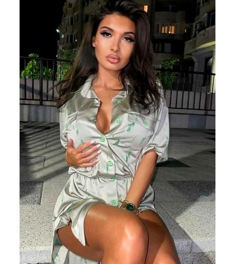 Adriannalinnaa nette galerie