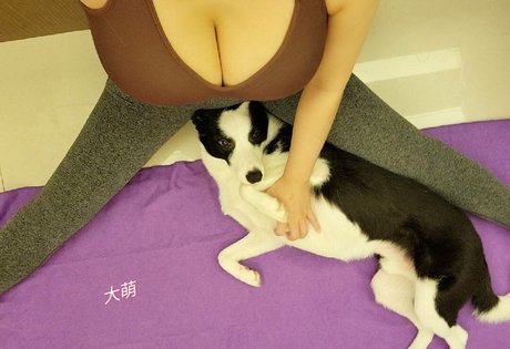 tw901173 beste perfekte fotos