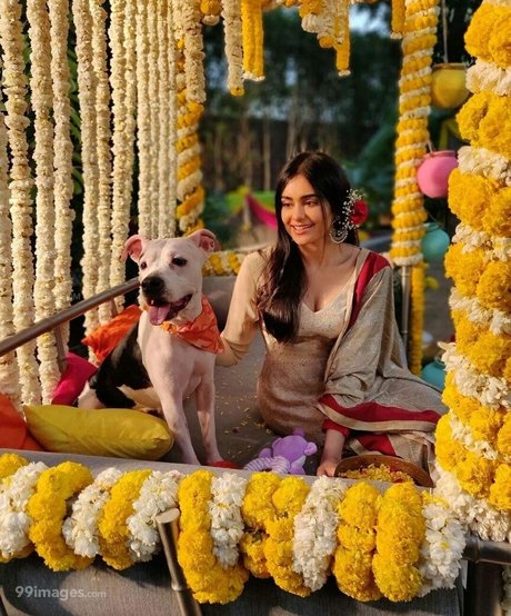 Adah Sharma exklusive perfekte foto