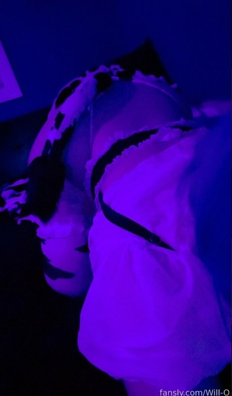 WillOWisps model hd archiv