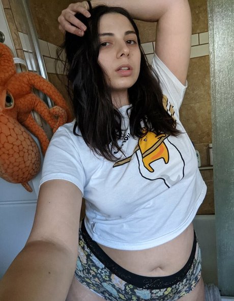 GlitchBun model bilder