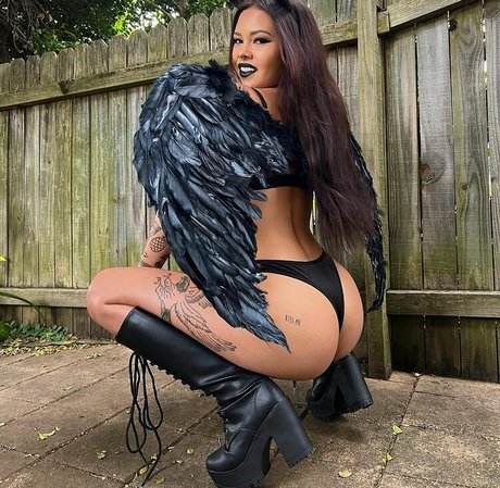 shakirareeve freie beste fotos