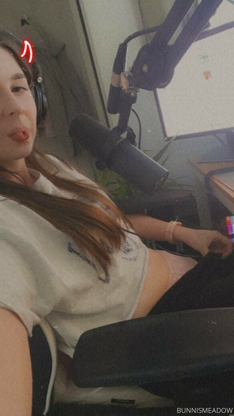 shellsea kostenlose kunst galerie