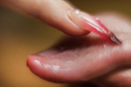 Lolawoo schöne pornostar bilder