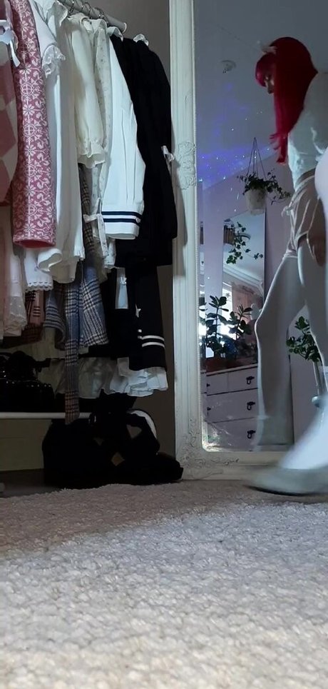 Himebunni beste kostenlose fotos