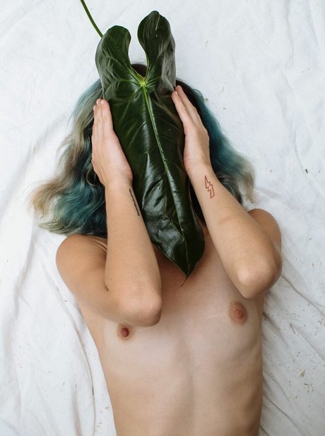 Carly Foulkes xxx nackten archiv