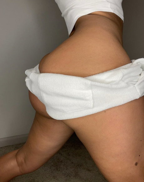 hase nur fans schöne bilder