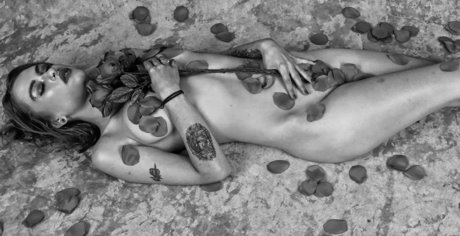 Taylor Evanchak Bilder