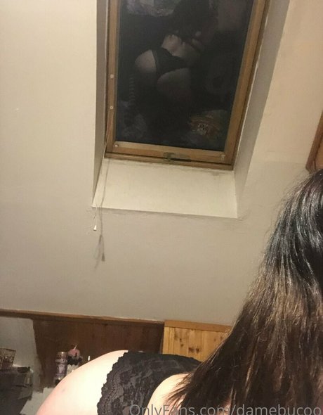 ana uhiram beste schöne bild