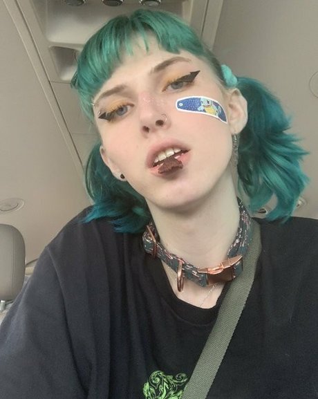 Starlite Anise erwachsene freie bild