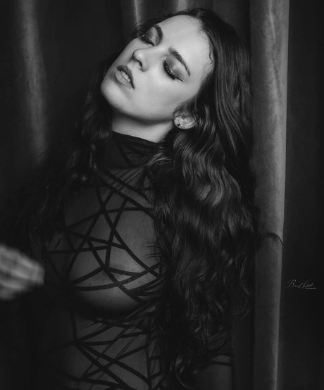 Fine Wolfanguar exklusive heiße bild