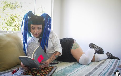 naypi exklusive perfekte bilder