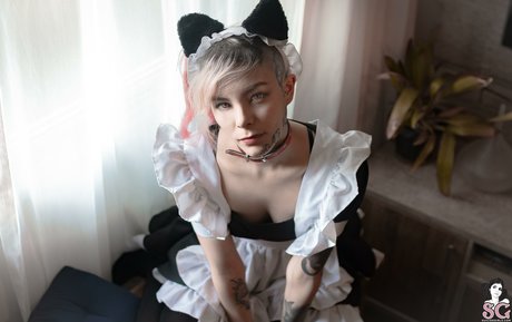 Tinta Nankin erwachsene schöne galerien