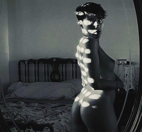 Laubrasil erwachsene pornographische bilder