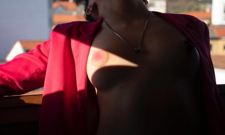 Laubrasil kostenlose hübsche archiv