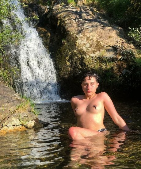 Laubrasil schöne hd galerie