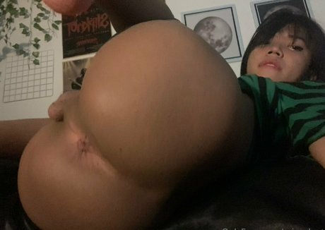 miruplanttt hübsche hd bilder