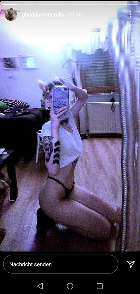 Gheddocinderrella beste kunst bild