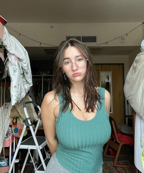 nnevelpappermann beste freie foto