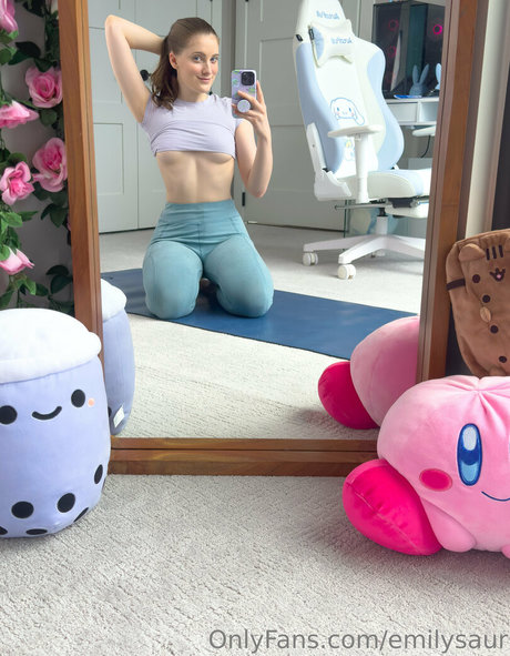 emilybel perfekte top archiv