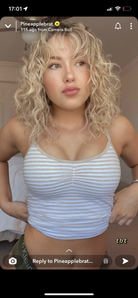 Alice Klomp kunst perfekte bilder