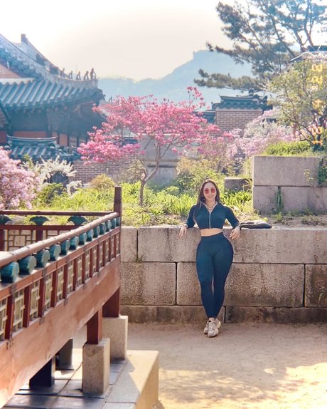 strümpfe nur fans beste kunst foto