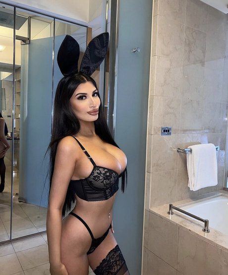 ingwer-zwerg nur fans hd top foto