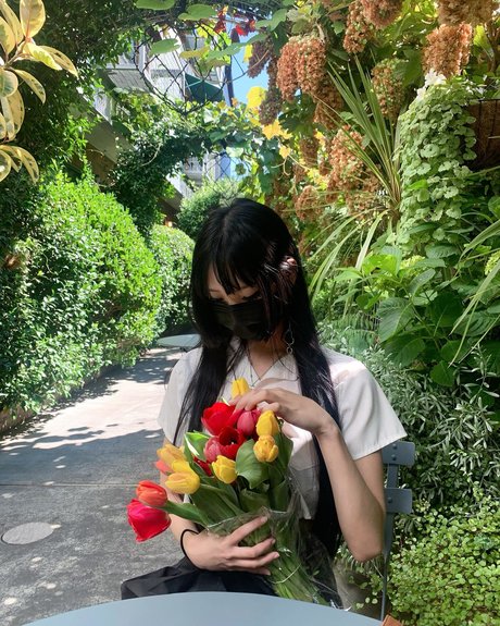 Jilan kunst perfekte fotos