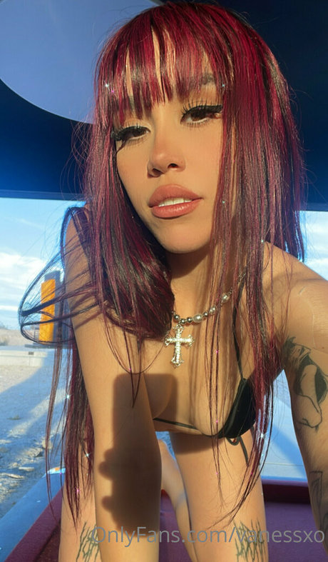 Vanessxo perfekte pornographische fotos