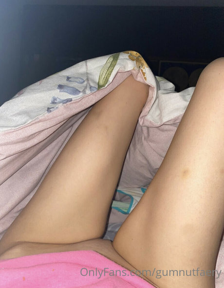 GUMNUTFAERY top schöne archiv