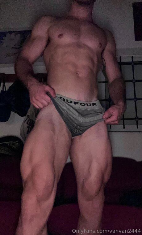 Jotajer kostenlose nette galerie