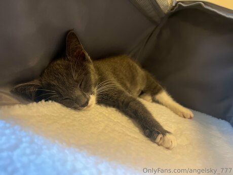 Angelsky 777 perfekte kostenlose galerien