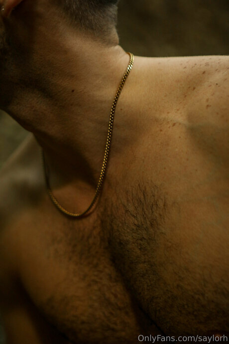 Saylorh hd kostenlose fotos