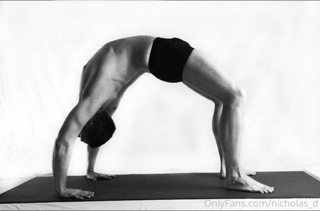 Nicholas D erotische pornographische archiv