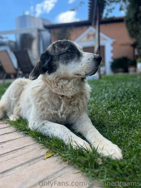 Chlorinedreams hd nacktheit galerien