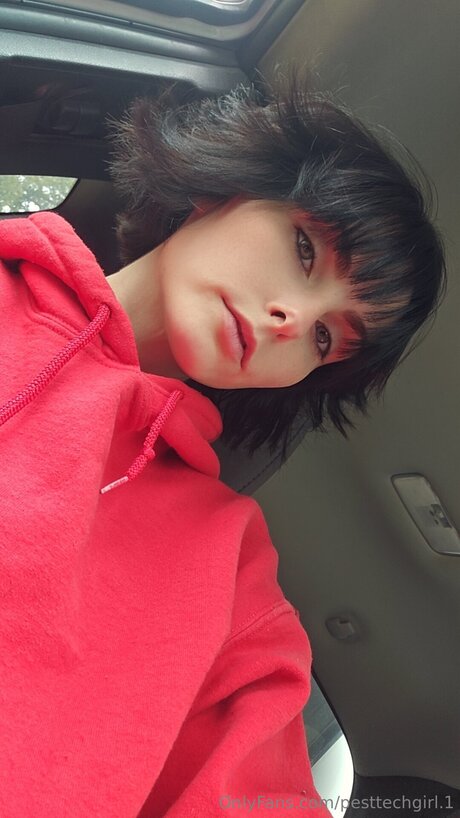 kätzchen nass nur fans erwachsene kostenlose galerie