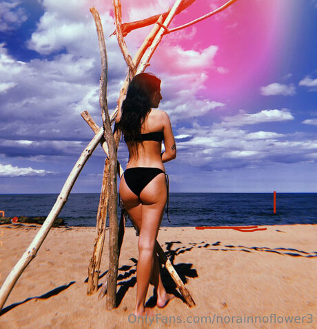 Norainnoflower3 Bilder