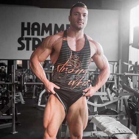 Bobby 90 hübsche kostenlose bild